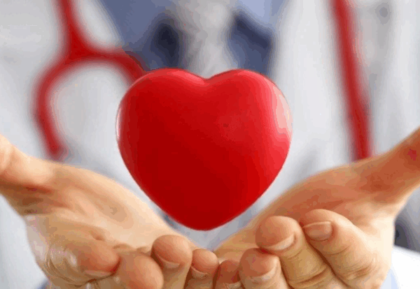 image-1800x1200 (12)